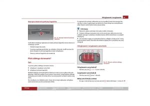 Skoda-Roomster-instrukcja-obslugi page 45 min