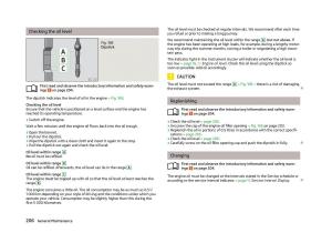 Skoda-Superb-II-2-owners-manual page 208 min