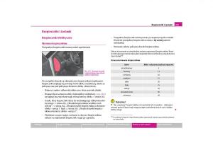 Skoda-Yeti-instrukcja-obslugi page 263 min