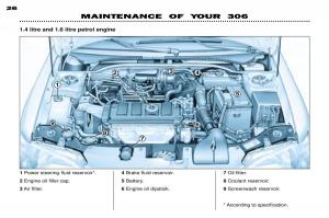 Peugeot-306-owners-manual page 45 min