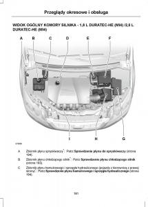 Ford-Focus-II-2-instrukcja-obslugi page 183 min