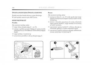 Lancia-Delta-Chrysler-Delta-instrukcja-obslugi page 199 min