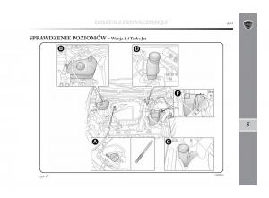 Lancia-Delta-Chrysler-Delta-instrukcja-obslugi page 224 min