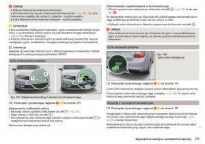 Skoda-Rapid-instrukcja-obslugi page 173 min