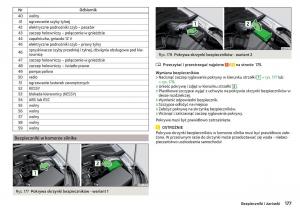 Skoda-Rapid-instrukcja-obslugi page 179 min