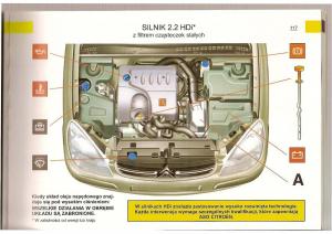 Citroen-C5-I-1-instrukcja-obslugi page 115 min