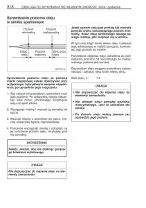 Toyota-Prius-II-2-NHW20-instrukcja-obslugi page 331 min