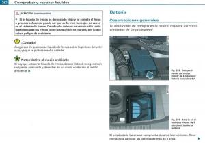 Audi-A3-II-2-8P-owners-manual-manual-del-propietario page 264 min