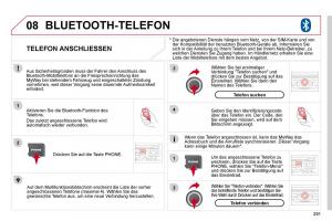 Citroen-C4-Picasso-I-1-owners-manual-Handbuch page 316 min