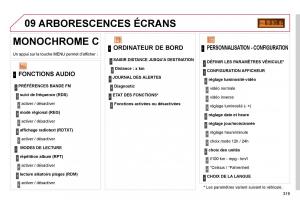 Citroen-C4-Picasso-I-1-owners-manual-manuel-du-proprietaire page 317 min