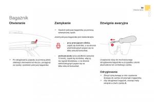 Citroen-DS3-instrukcja-obslugi page 101 min