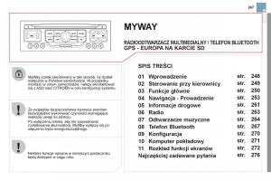 Citroen-DS3-instrukcja-obslugi page 249 min