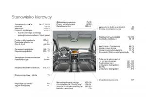 Citroen-DS3-instrukcja-obslugi page 310 min