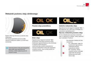 Citroen-DS3-instrukcja-obslugi page 45 min