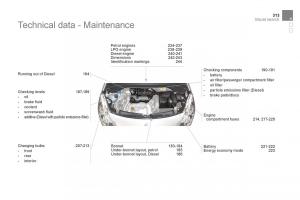 Citroen-DS3-owners-manual page 315 min