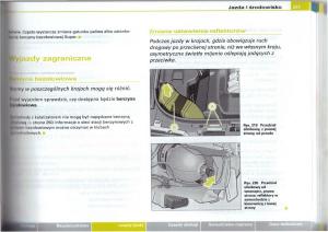 Audi-A6-C5-instrukcja-obslugi page 247 min