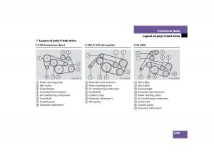 Mercedes-Benz-C-Class-W203-owners-manual page 339 min