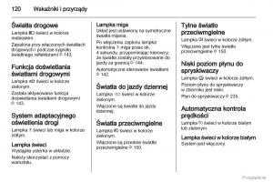 Opel-Zafira-C-Tourer-instrukcja-obslugi page 121 min