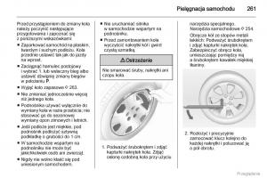 Opel-Zafira-C-Tourer-instrukcja-obslugi page 262 min