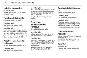 Opel-Insignia-Handbuch page 116 min