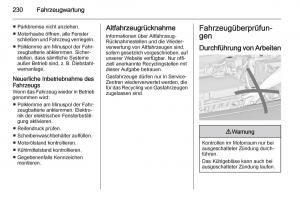 Opel-Insignia-Handbuch page 232 min