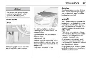 Opel-Insignia-Handbuch page 233 min