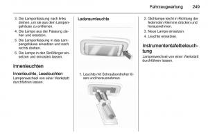 Opel-Insignia-Handbuch page 251 min