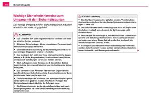 Skoda-Fabia-I-1-Handbuch page 117 min