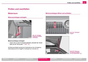 Skoda-Fabia-I-1-Handbuch page 174 min