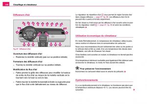 Skoda-Fabia-I-1-manuel-du-proprietaire page 101 min