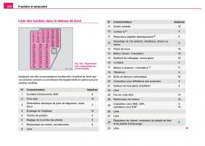 Skoda-Fabia-I-1-manuel-du-proprietaire page 231 min