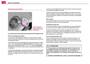 Skoda-Fabia-I-1-manuale-del-proprietario page 203 min