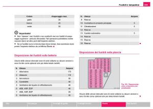 Skoda-Fabia-I-1-manuale-del-proprietario page 226 min