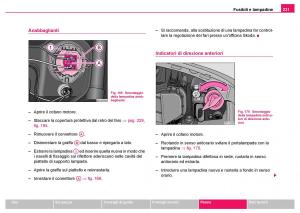 Skoda-Fabia-I-1-manuale-del-proprietario page 232 min