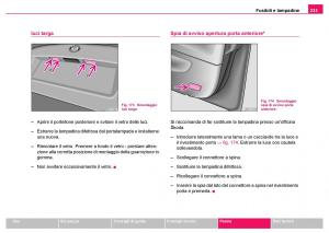 Skoda-Fabia-I-1-manuale-del-proprietario page 234 min