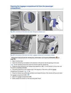 VW-Beetle-Convertible-owners-manual page 256 min