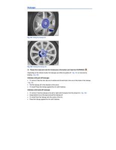 VW-CC-owners-manual page 387 min