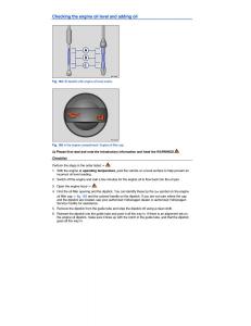 VW-Tiguan-owners-manual page 310 min