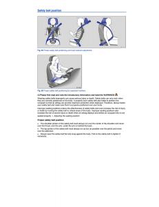 VW-Tiguan-owners-manual page 99 min