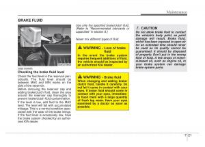 Kia-Optima-Magentis-Lotze-owners-manual page 299 min