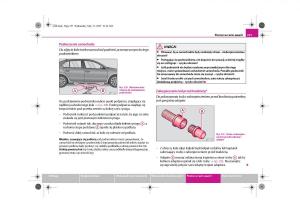 Skoda-Superb-II-2-instrukcja-obslugi page 253 min