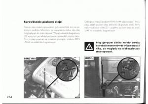 manual--Alfa-Romeo-145-146-instrukcja page 231 min