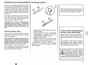 Renault-Scenic-III-3-instrukcja-obslugi page 171 min