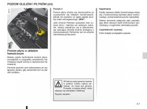 Renault-Scenic-III-3-instrukcja-obslugi page 175 min