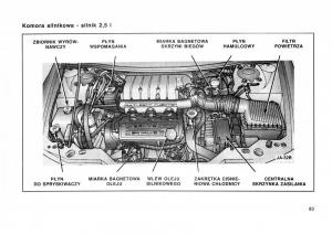 Dodge-Stratus-I-1-instrukcja-obslugi page 75 min