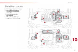 Citroen-Cactus-instrukcja-obslugi page 219 min