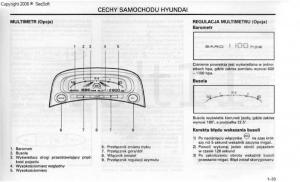 Hyundai-Santa-Fe-I-1-instrukcja-obslugi page 41 min