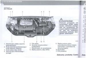 manual--Hyundai-Tucson-I-1-instrukcja page 245 min