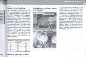 manual--Hyundai-Tucson-I-1-instrukcja page 254 min