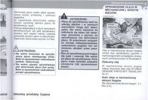 manual--Hyundai-Tucson-I-1-instrukcja page 258 min